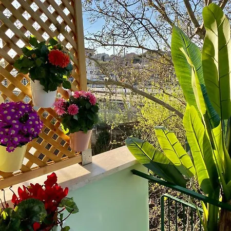 Monstera House Trastevere Apartmán *