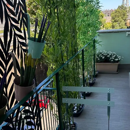 Monstera House Trastevere *