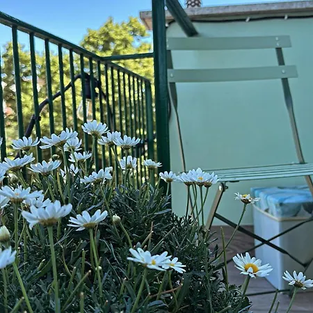 Monstera House Trastevere Řím